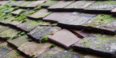 Llanelli roof repair costs